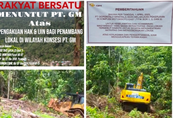 Pemerhati Rakyat Penambang; Minta PT.GM Berpikir Bijak Untuk Menggusur Penambang Lokal